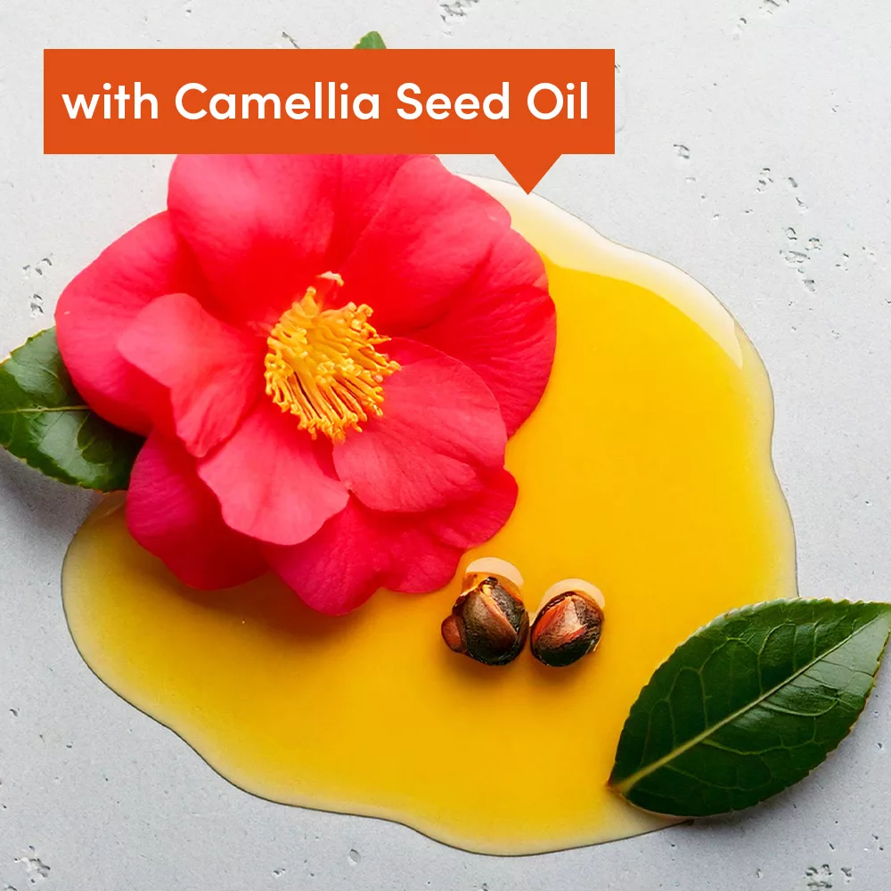 Camellia flower with oil and seeds