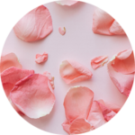 Pink rose petals scattered on surface.