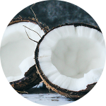 Two halved coconuts on a table.