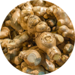 Pile of fresh ginger roots