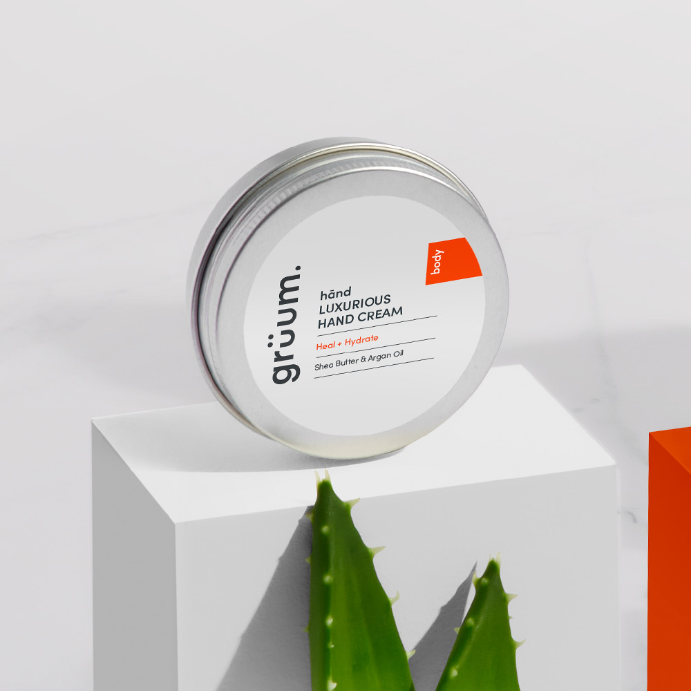 Hand cream tin and aloe plant