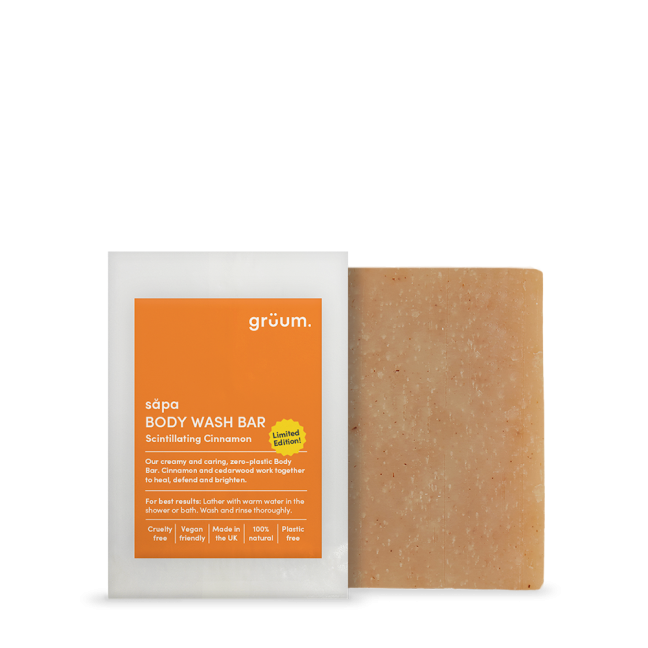 Body wash bar packaging and soap