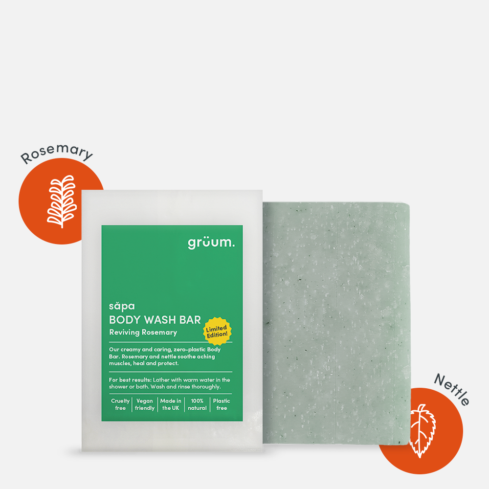 Body wash bar and packaging