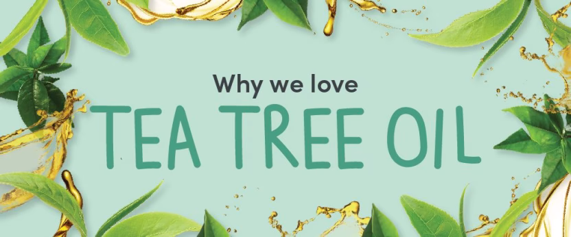 Why we love tea tree oil text