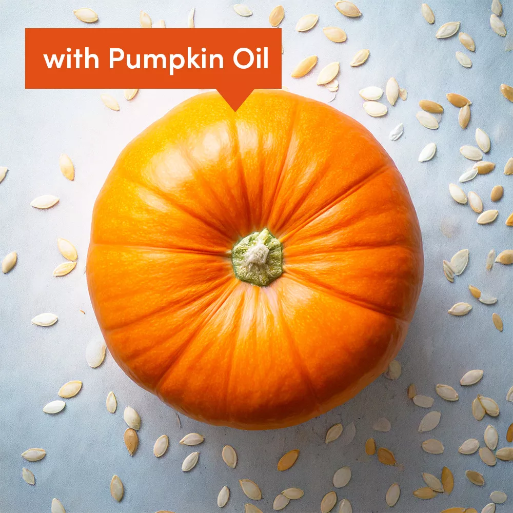 Pumpkin with seeds on gray background.