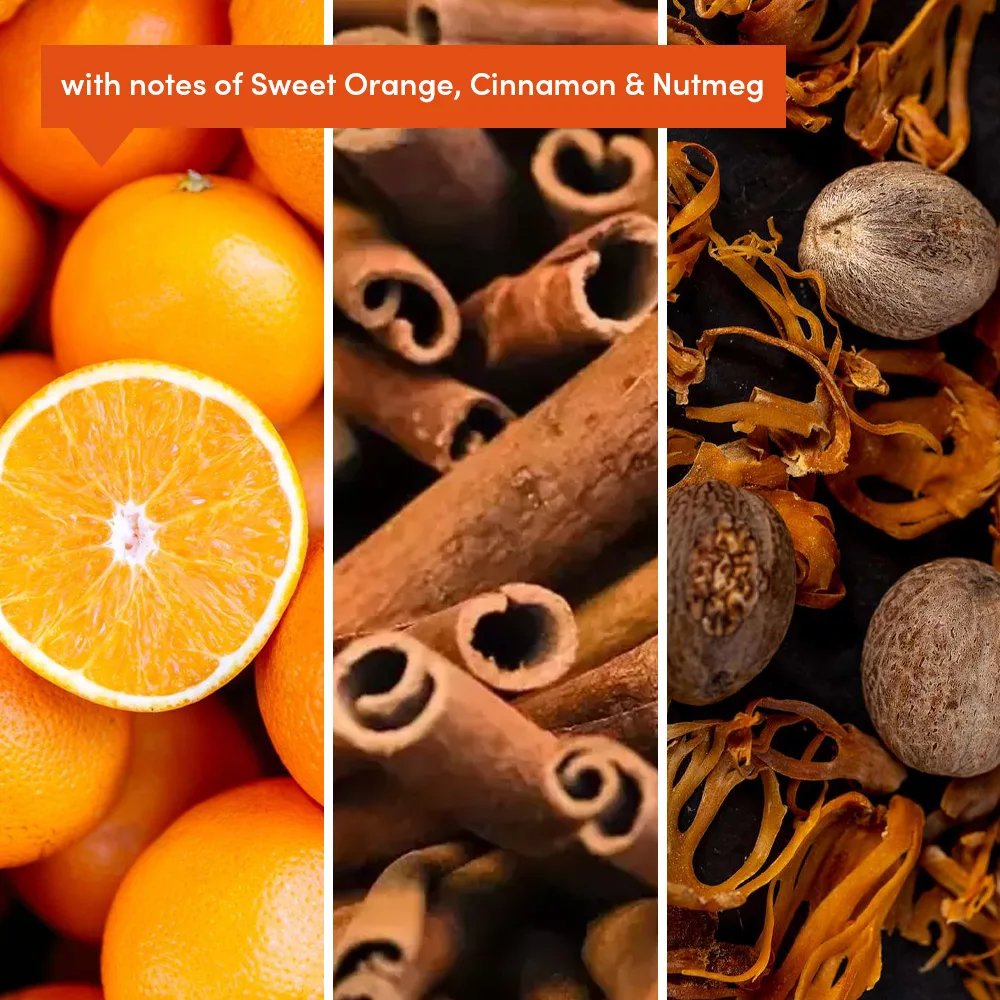 Orange, cinnamon, nutmeg collage