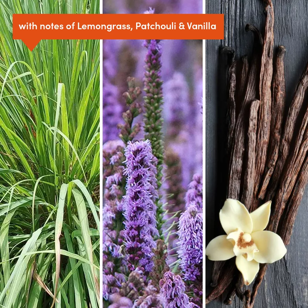 Lemongrass, flowers, and vanilla beans