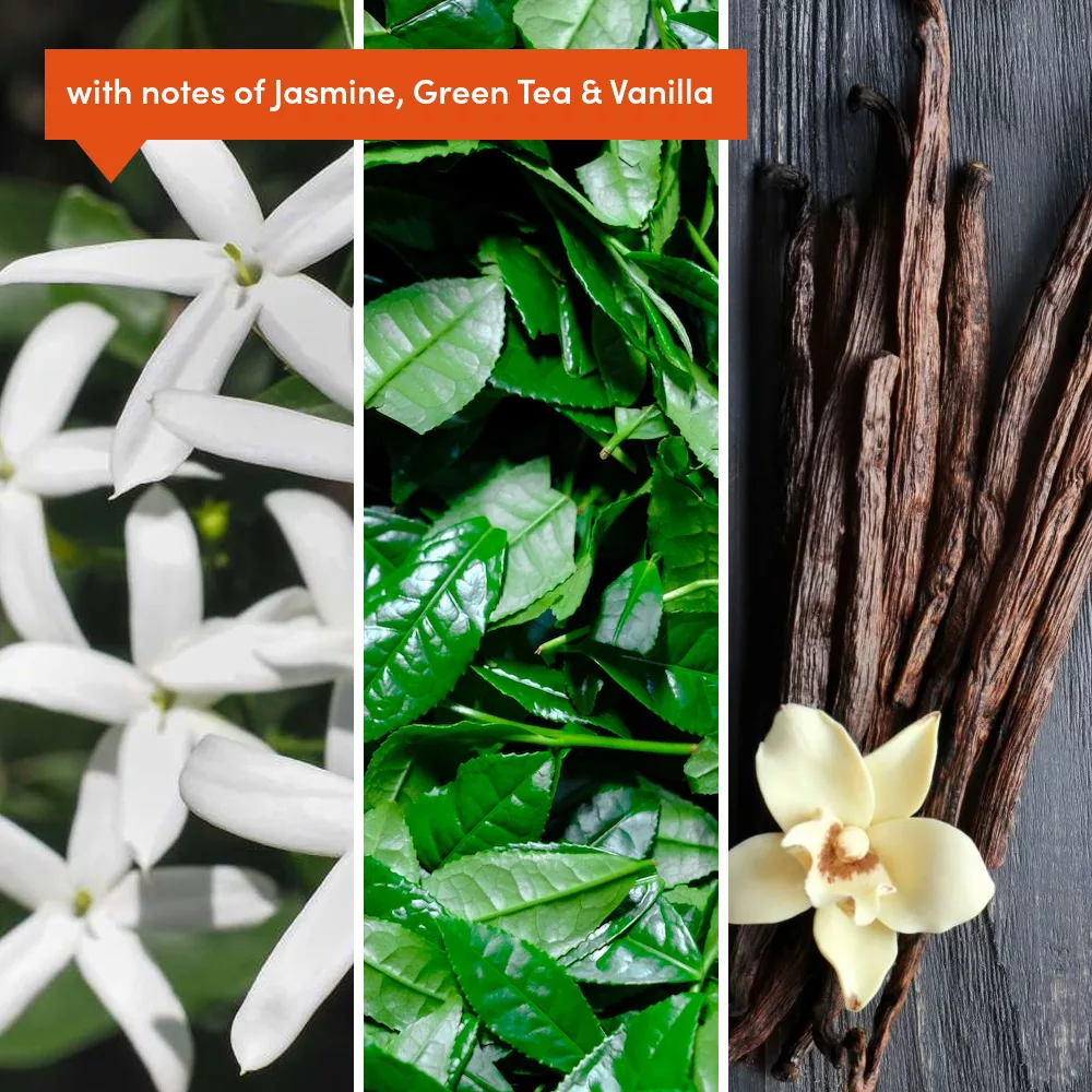 Jasmine, green tea, and vanilla ingredients