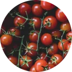 Cluster of ripe cherry tomatoes.