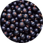Pile of black currants
