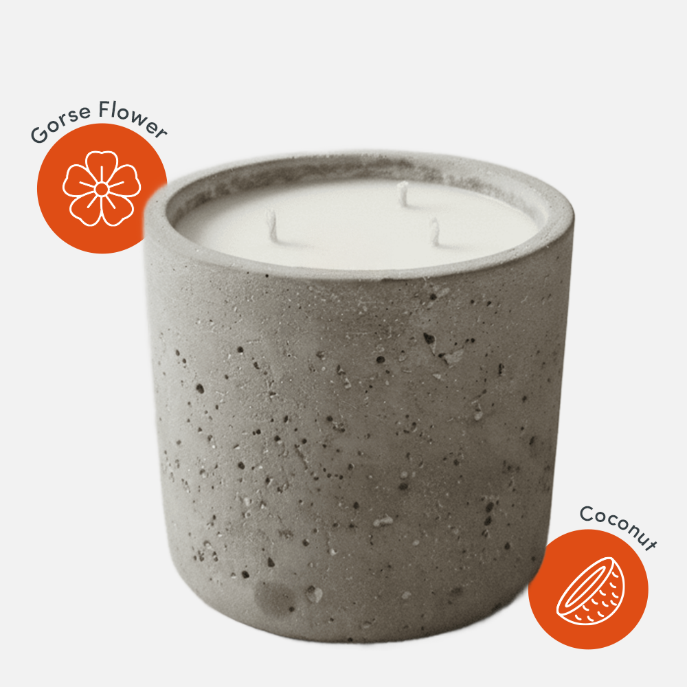 Candle in stone holder, gorse, coconut