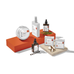 The Hair Essentials Bundle